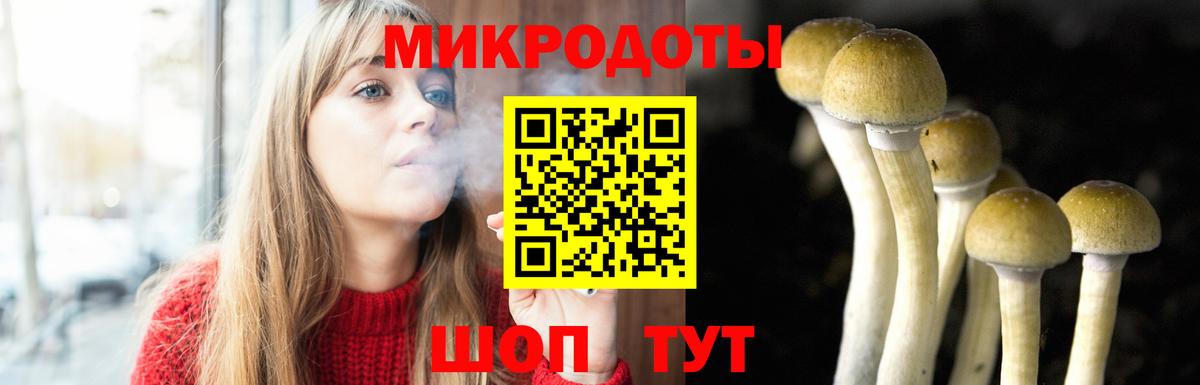 Псилоцибиновые грибы Cubensis  Вход с VPN  Феодосия 